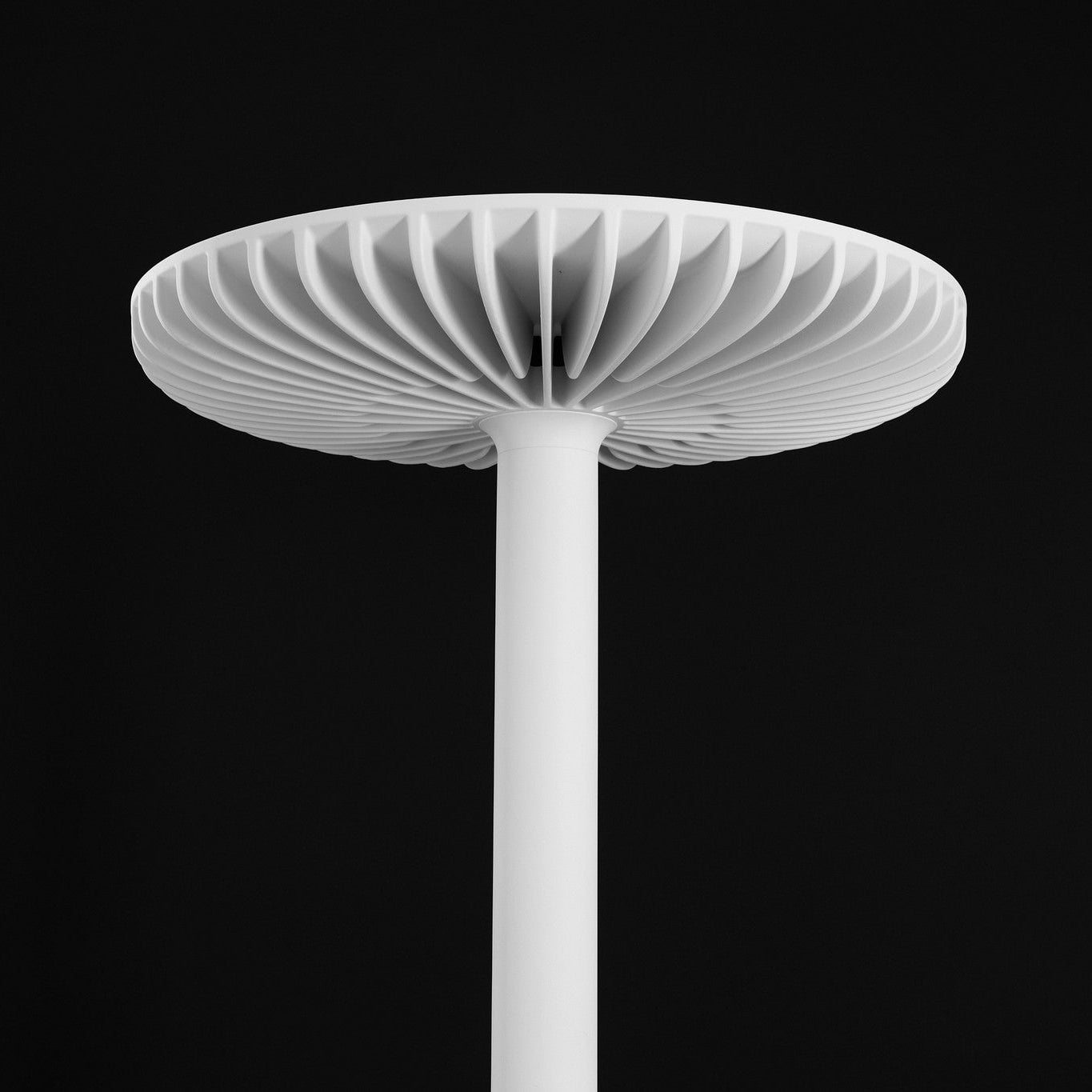 Brighter Lamp