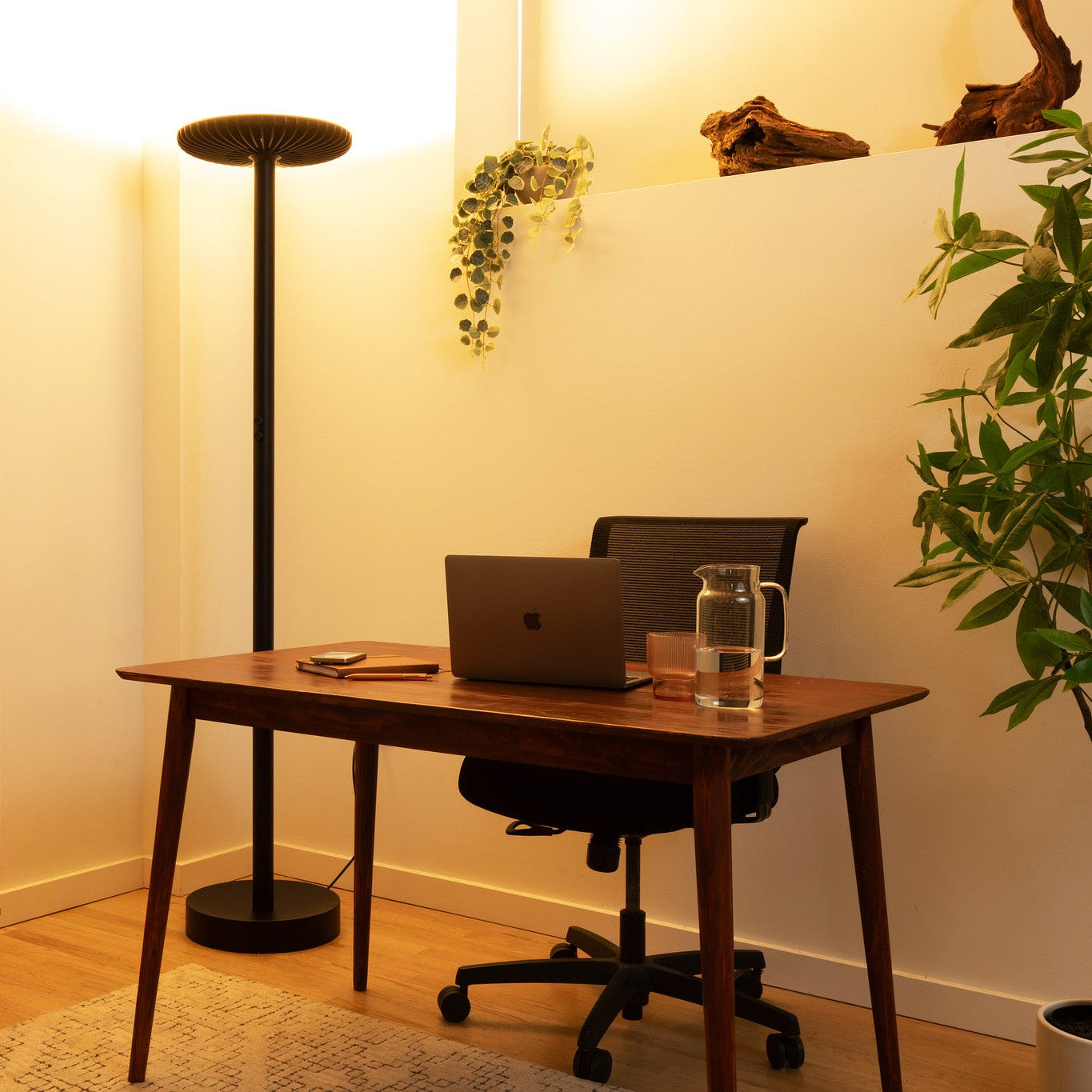 Brighter Lamp